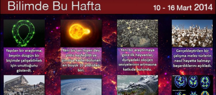 10-16 Mart 2014