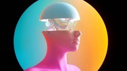 Vücudumuzun Google Earth'ü Anatomi Anlayışımızı Nasıl Değiştiriyor?