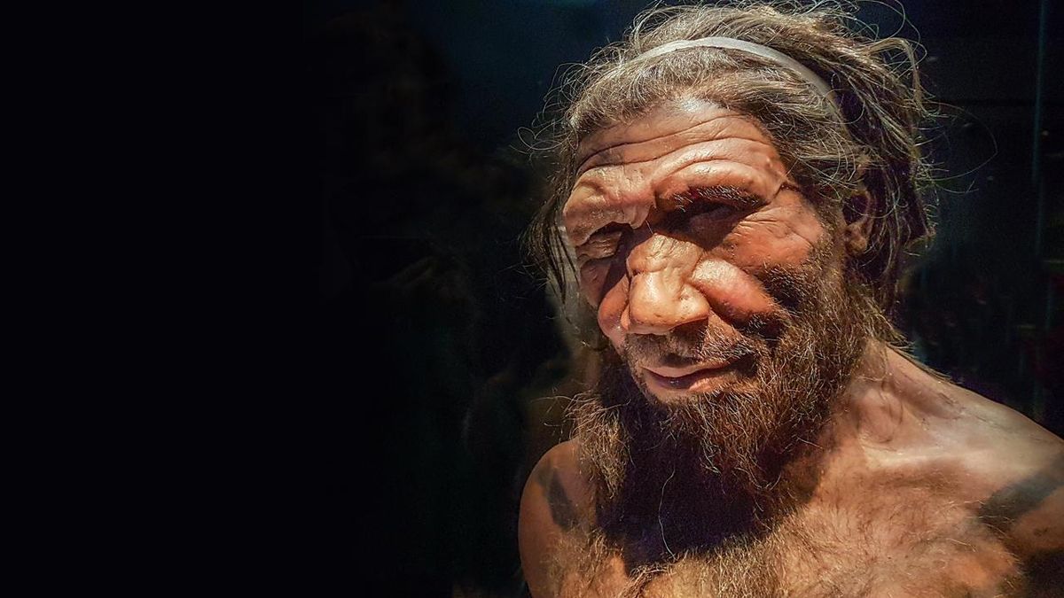 Neanderthals And Humans Interbred 45,000 Years Ago - The Pinnacle Gazette