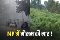 MP Weather Update: मध्य प्रदेश के कई जिलों में भारी बारिश और ओलावृष्टि