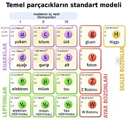 Atom altı parçacıklarının temeli olan Kuarkların ve leptonların da yapı taşları var mıdır?