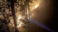 Incendio forestal en Libres está por sumar 16 horas activo; habitantes denuncian falta de apoyo - El Sol de Puebla | Noticias Locales, Policiacas, sobre México, Puebla y el Mundo