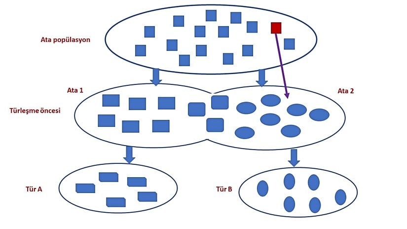 Görsel 2: Ata olmadığını göstermenin imkansız olduğu durum.