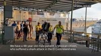 Mexican marine biologist survives shark attack in Costa Rica