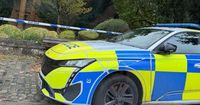 Suspect's ethnicity released after woman is gang raped by men
