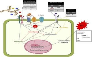 New Oomycete Effector Manipulates Plant Circadian Clock