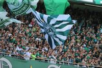 Coritiba x Vila Nova: confira onde o jogo vai passar - Jornal Diário do Pará