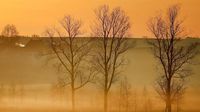 Wetterwarnung: Saharastaub bringt Samstag Blutregen