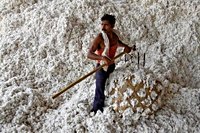 India suspends cotton import duty in signal to US, relief for garment industry