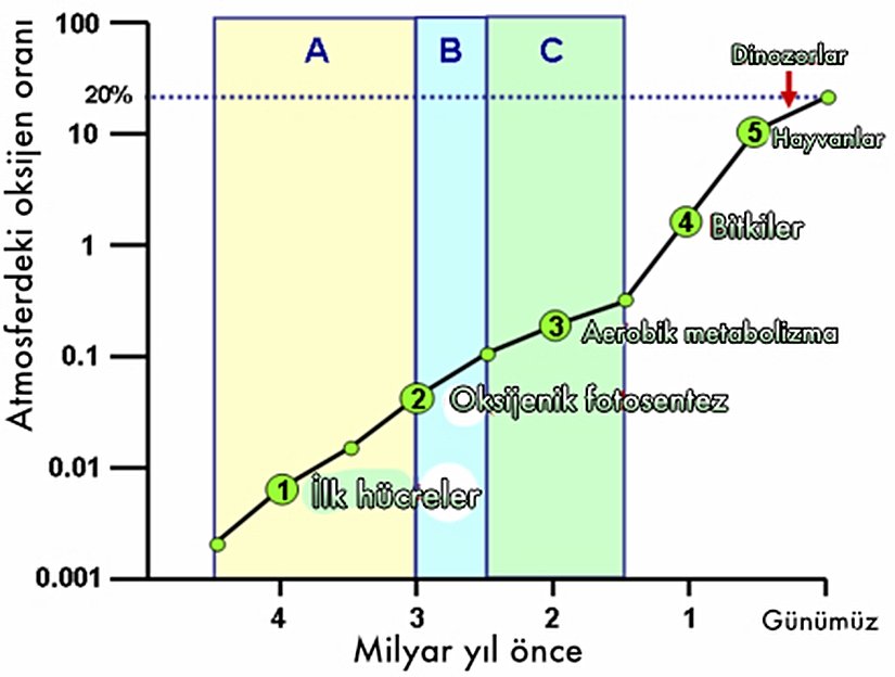 Büyük Oksidasyon Olayı ve atmosferdeki oksijen oranı değişimi.
