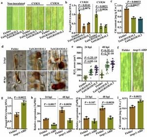 Scientists Unveil Key Gene Boosting Wheat's Resistance To Rust Pathogen