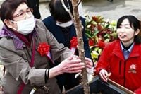 香る桜「春めき」植樹　視覚障害のある人にも春を　３月下旬ごろ開花、とっとり花回廊 | 山陰中央新報デジタル