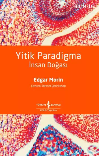 Yitik Paradigma