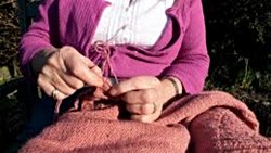 Bu antik patojen insanlar yün giymeye başladığında daha ölümcül hale geldi