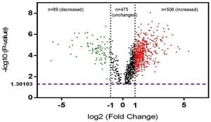 Mapping Phosphoproteomic Changes During Zebrafish Regeneration