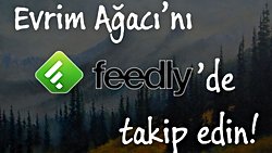 Evrim Ağacı'nı Feedly'de Takip Edin!