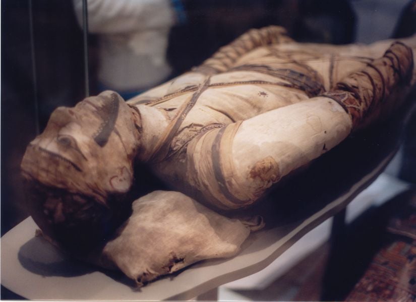 British Museum'da bulunan bir Mısır mumyasının omurgasında tüberküloz çürümesi tespit edilmiştir.