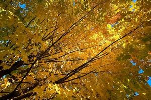 Fall 2025 Brings Contrasts Across The United States