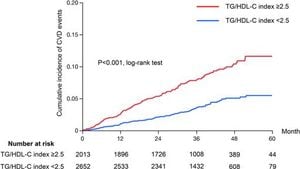 New Study Links TG/HDL-C Index With Increased Cardiovascular Risk