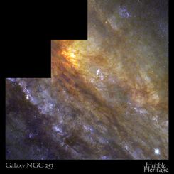 NGC 253: The Sculptor Galaxy