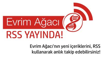 Evrim Ağacı'nı RSS Üzerinden Takip Edin!