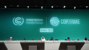 Global Climate Summit Set To Drive Action Against Climate Change