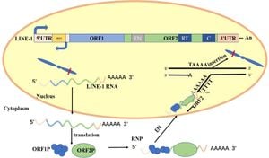 New Multi-Omic Research Uncovers LINE-1’s Role In Cancer