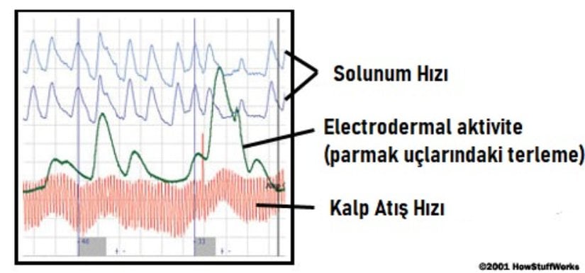 Yalan Dedektörü ölçümleri.