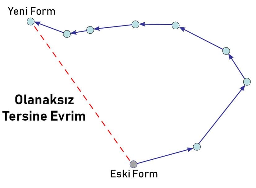 Tersine evrimin, atasal forma bir anda geri dönüş şeklinde olması istatistiki olarak olanaksızdır. Buna karşılık, benzer özellikler atasal formu yansıtacak şekilde evrimleşebilir.