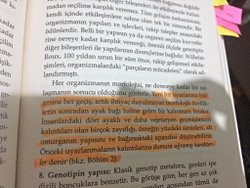 Neden sinüslerimiz var ?