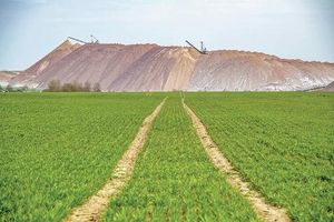 Belarus Frees Opposition Leaders In Landmark Prisoner Deal