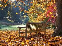 2025 Avon-Area Fall Fun Guide: Enjoy Autumn's Offerings