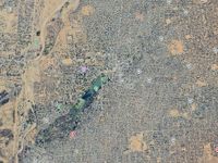 Yale researchers document evidence of mass killings in Sudan’s El-Fasher