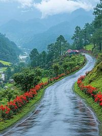 Best Tourist Places in India with Clean Air Amid Delhi’s Smog