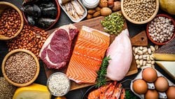 Bilim İnsanlarına Göre En İyi Protein Kaynağı Belli Oldu!