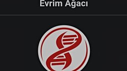 Evrim Ağacı