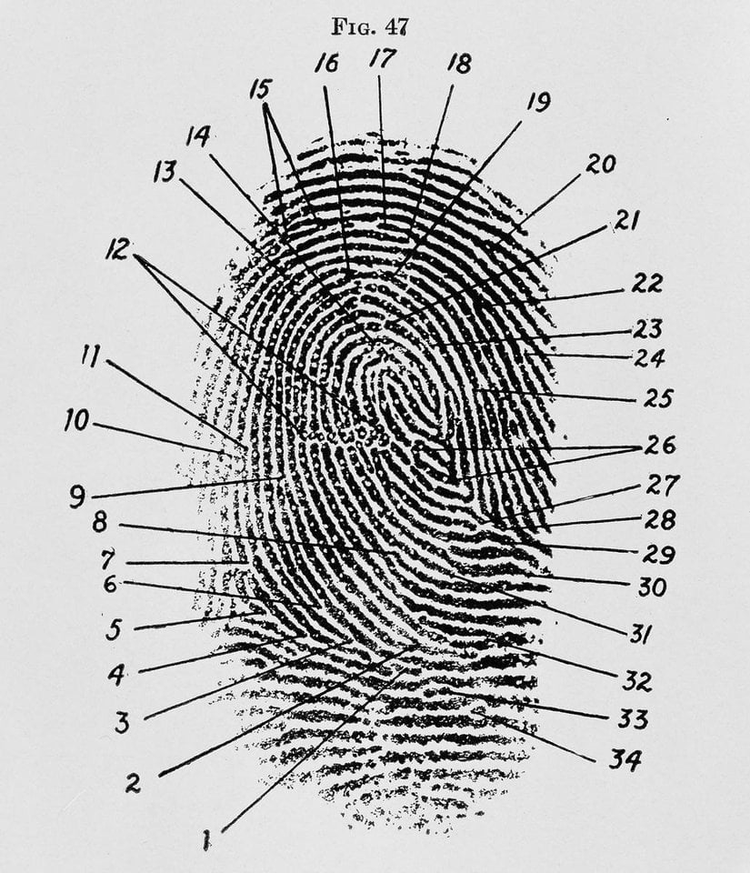 Fingerprint diagram, 1940 Frederick Kuhne, The Finger Print Instructor…Based upon the Sir E. R. Henry System of Classifying and Filing
