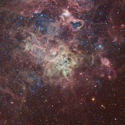 The Tarantula Nebula