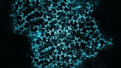 Matematiksel Evrime Genel Giriş