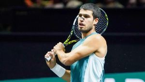 Carlos Alcaraz Dominates To Reach Rotterdam Open Semifinals