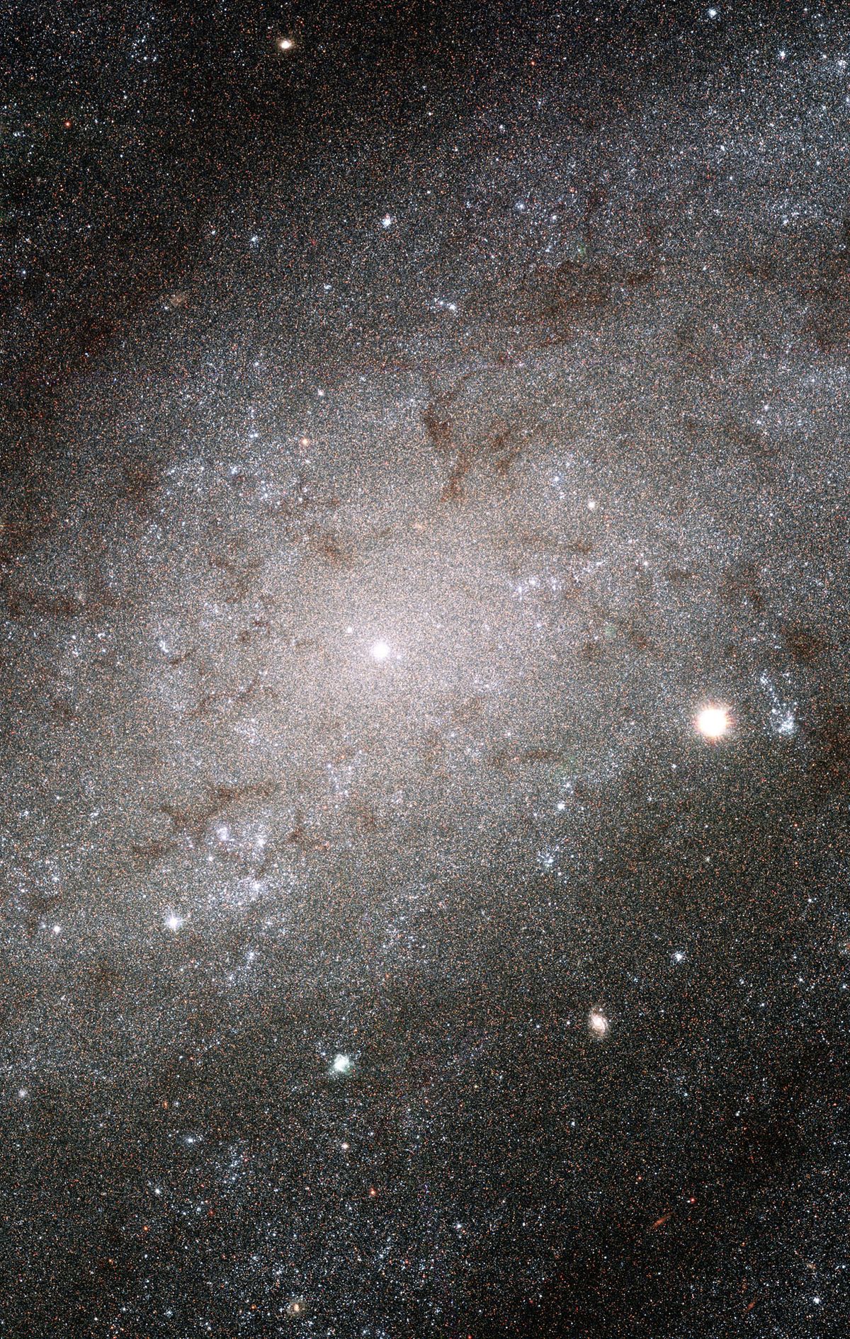 The Stars of NGC 300