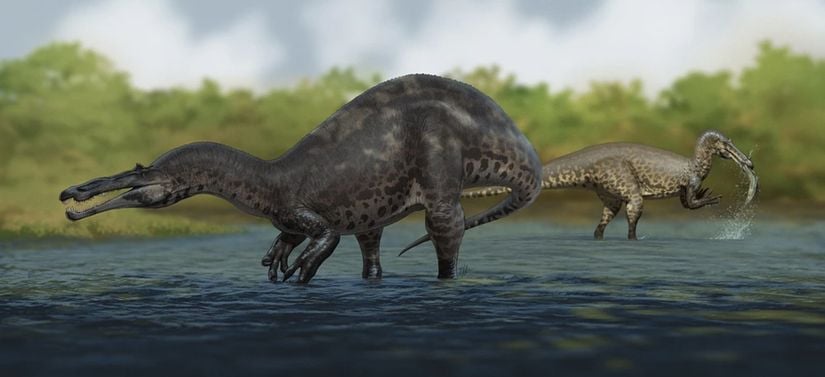 Kuzey Afrika, Nijerya'da keşfedilmiş Suchomimus'un gerçekçi bir rekonstrüksiyonu.