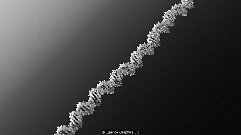 Her canlının temelinde DNA vardır.