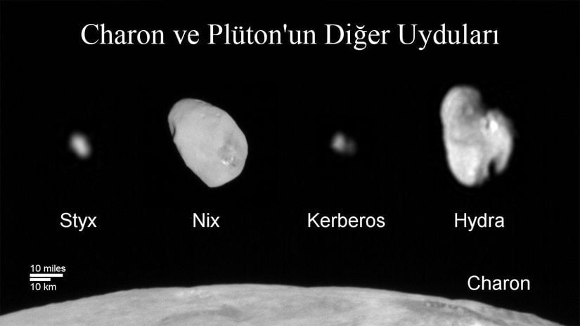 Charon ve Plüton'un diğer uydularının boyutları karşılaştırılmıştır.