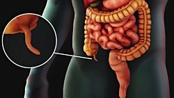 KÖRELMİŞ ORGANLAR