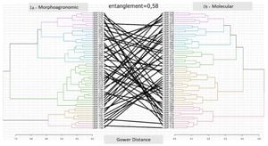 Revolutionizing Agreement Measurement With Bayesian Gower Analysis