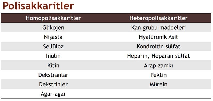 Homopolisakkaritler ve Heteropolisakkaritlere örnekler.