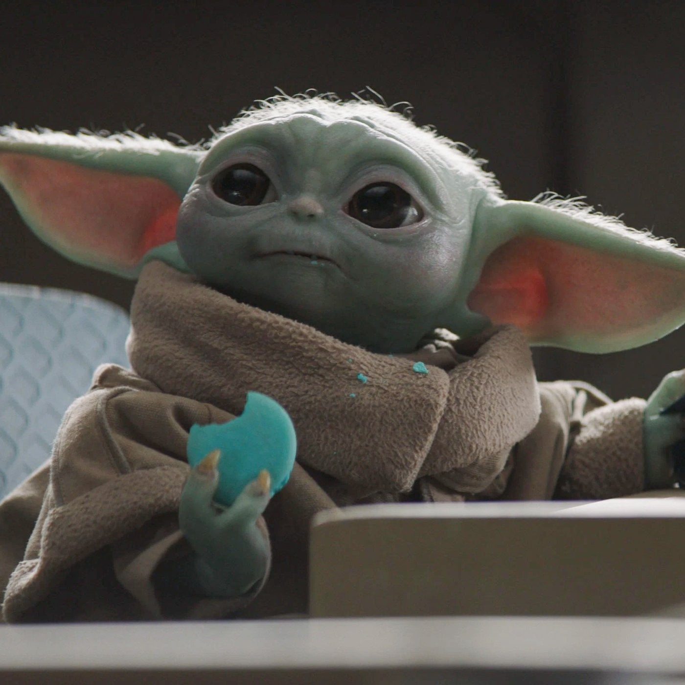 Evrim Ağacı ile Bilime Dair Her Şey!