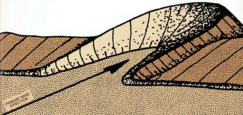 Barkan oluşumundan farkı hâkim rüzgârın içbükey taraftan esmesidir. Barkan oluşumda ise tam tersi hâkim rüzgâr dışbükeyden eser.