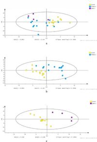 Serum metabolomic analysis in patients with Hashimoto’s thyroiditis positive for TgAb or TPOAb: a preliminary study - Scientific Reports